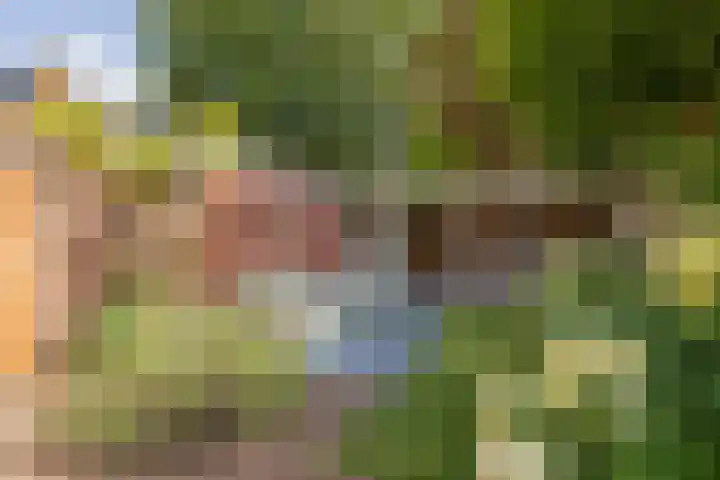 Bijweglaan 7 Bennebroek thumbnail 15