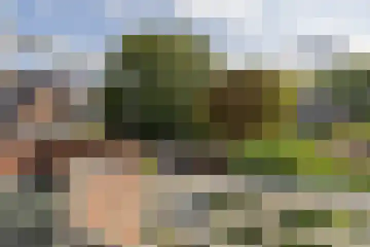 Bijweglaan 7 Bennebroek thumbnail 27