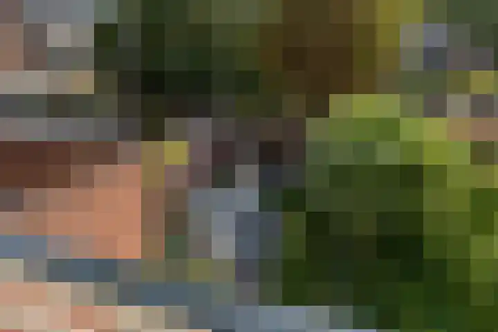 Bijweglaan 7 Bennebroek thumbnail 28