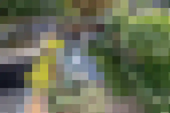 Bijweglaan 7 Bennebroek thumbnail 29