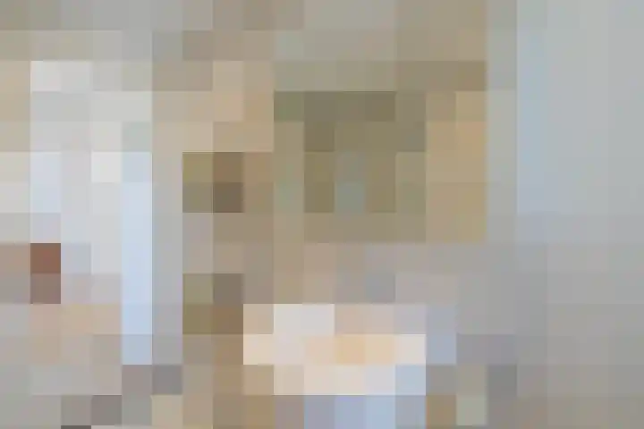Bijweglaan 7 Bennebroek thumbnail 35