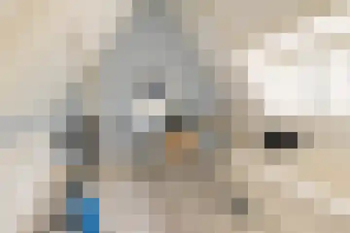 Bijweglaan 7 Bennebroek thumbnail 37