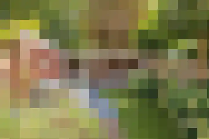 Bijweglaan 7 Bennebroek thumbnail 4