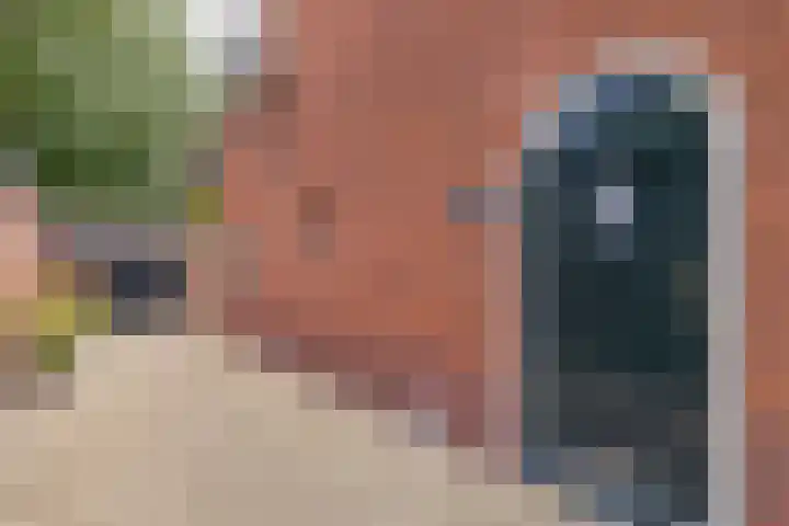 Bijweglaan 7 Bennebroek thumbnail 6
