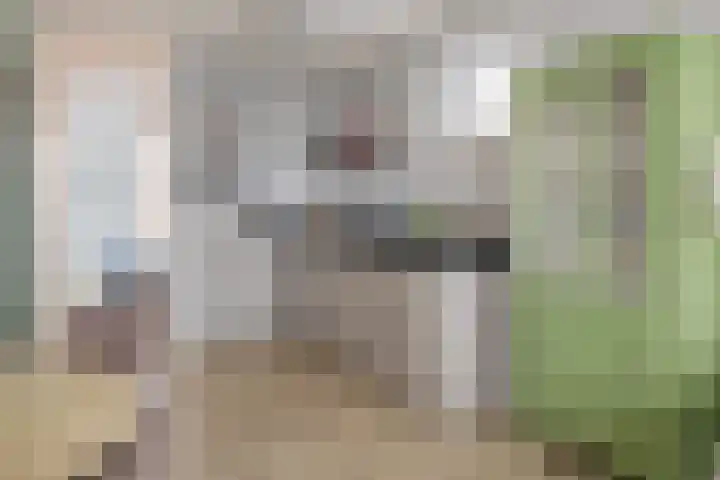 Bik- en Arnoldkade 19 G IJmuiden thumbnail 20