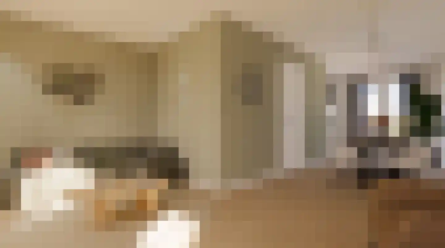 Bik- en Arnoldkade 24 IJmuiden thumbnail 4