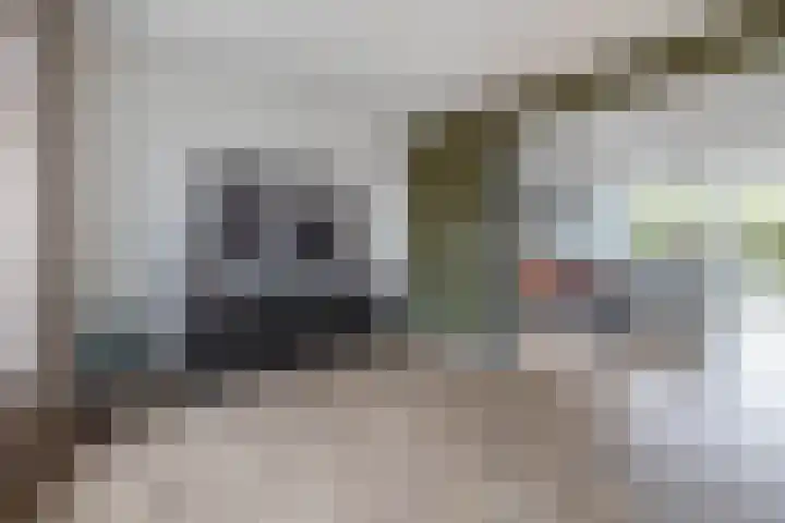 Bikkel 8 Mariahout thumbnail 20