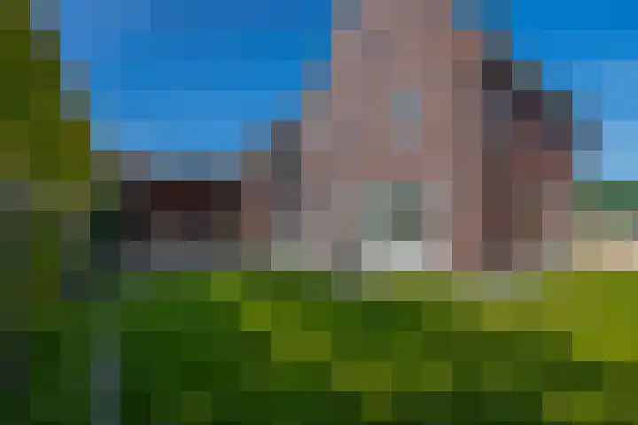Bikkel 8 Mariahout thumbnail 4