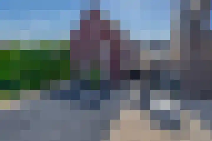 Bikkel 8 Mariahout thumbnail 6