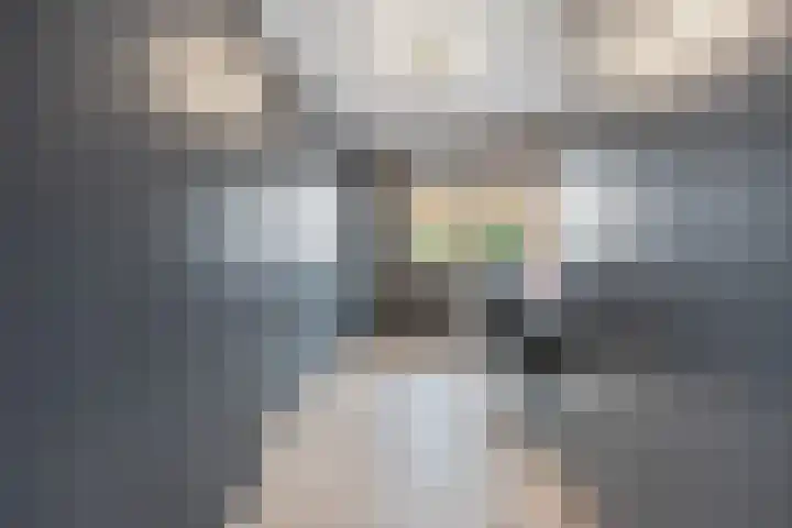 Bikkelen 9 Beneden-Leeuwen thumbnail 18
