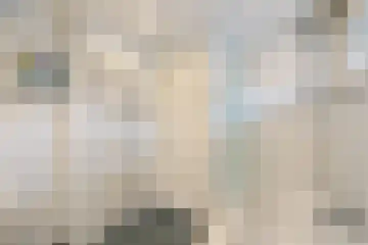 Bikkelen 9 Beneden-Leeuwen thumbnail 24
