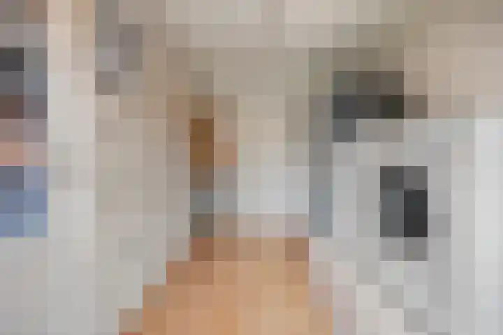 Bikkelen 9 Beneden-Leeuwen thumbnail 25