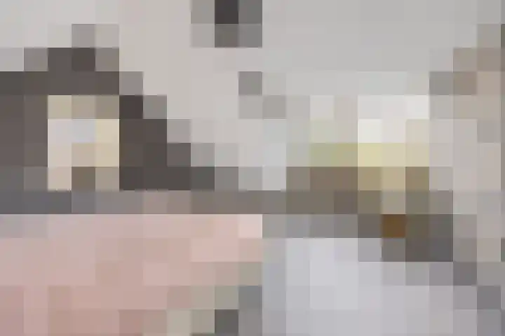 Bikkelen 9 Beneden-Leeuwen thumbnail 32