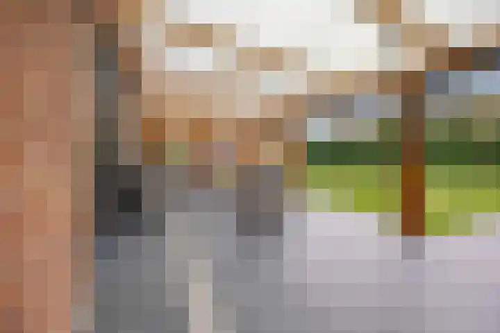 Bikkelen 9 Beneden-Leeuwen thumbnail 37