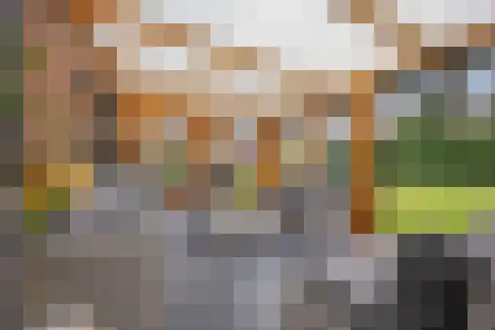 Bikkelen 9 Beneden-Leeuwen thumbnail 38