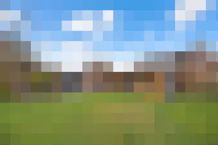 Bikkelen 9 Beneden-Leeuwen thumbnail 41