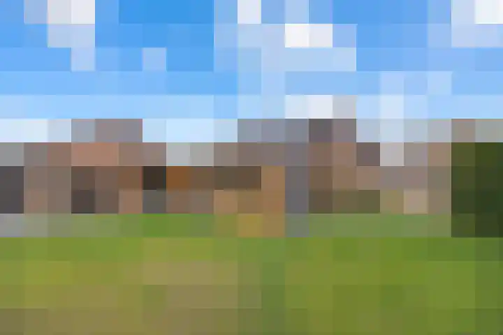 Bikkelen 9 Beneden-Leeuwen thumbnail 42