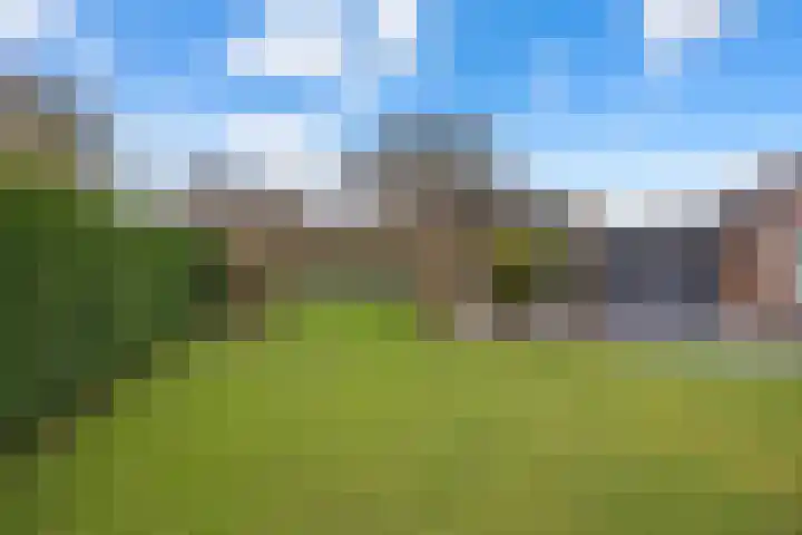 Bikkelen 9 Beneden-Leeuwen thumbnail 43