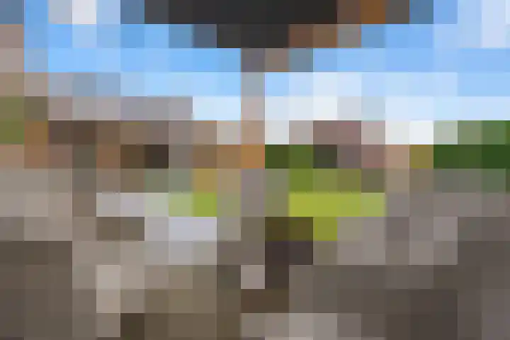 Bikkelen 9 Beneden-Leeuwen thumbnail 45
