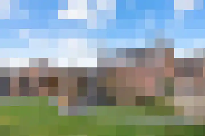 Bikkelen 9 Beneden-Leeuwen thumbnail 46