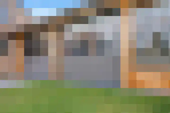 Bikkelen 9 Beneden-Leeuwen thumbnail 50
