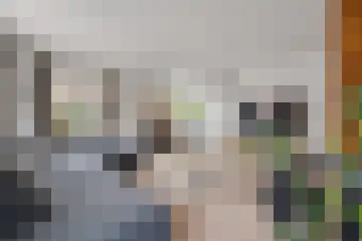 Bikkelen 9 Beneden-Leeuwen thumbnail 8