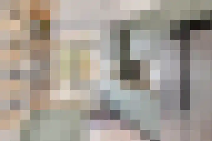 Bikkelkampplein 1 Grave thumbnail 11