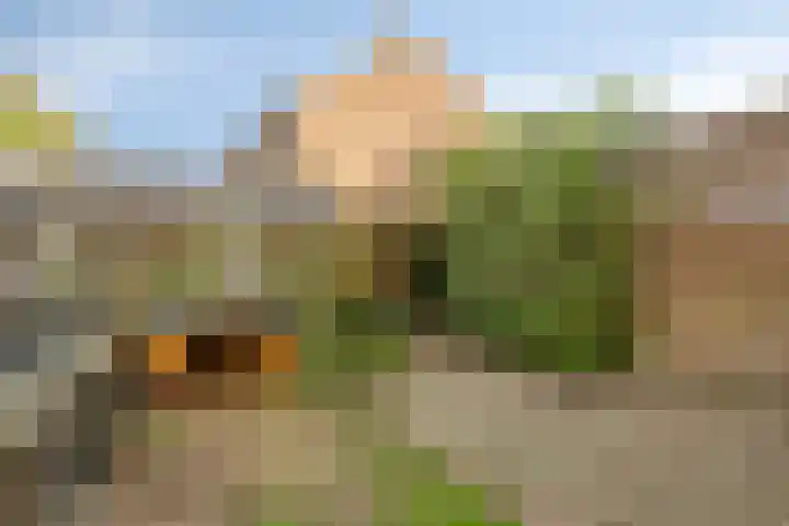 Bikkelkampplein 1 Grave thumbnail 21