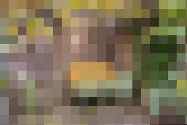 Bikkelkampplein 1 Grave thumbnail 4