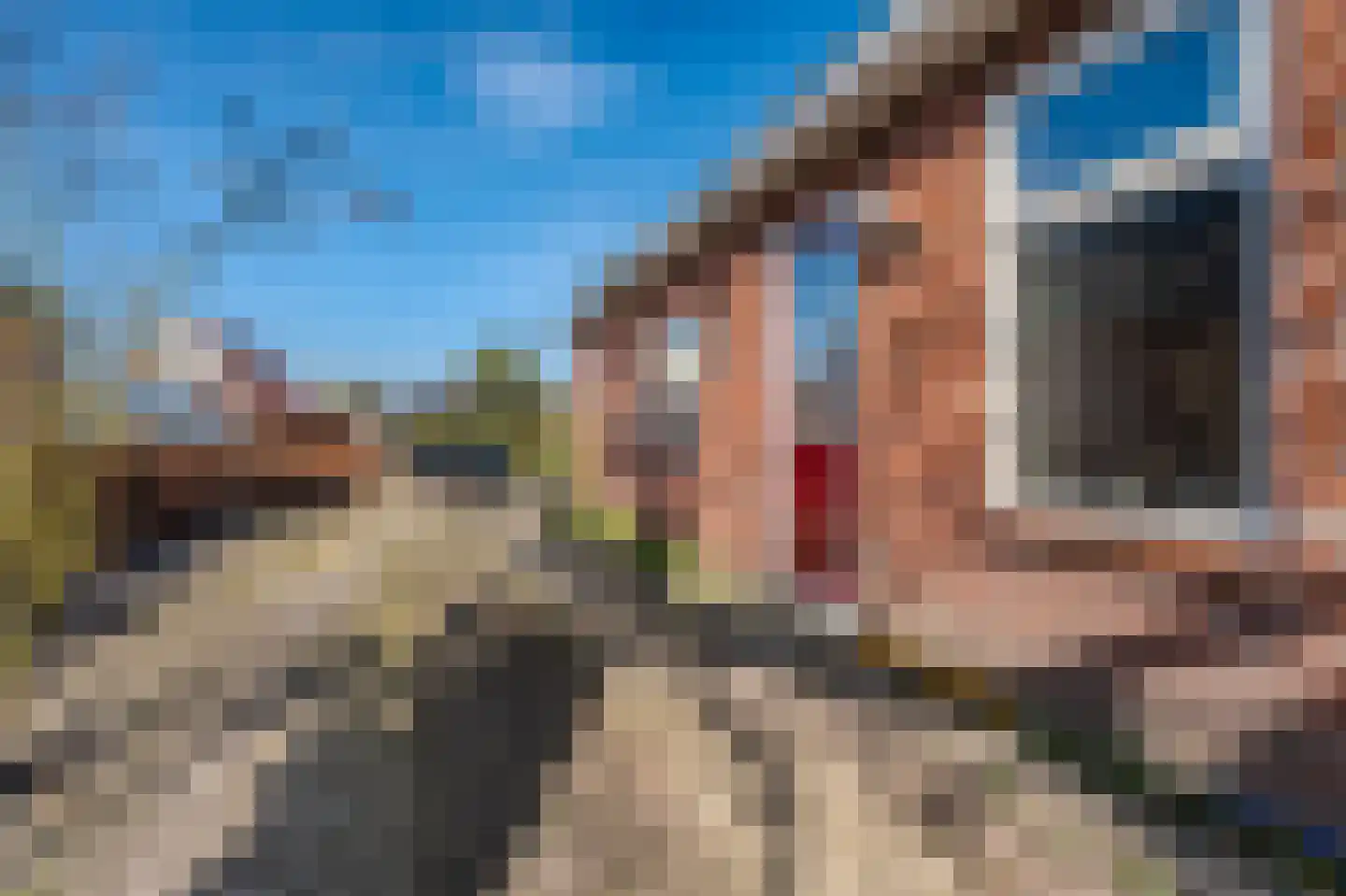 Bikkershorn 10 Westerlee thumbnail 11