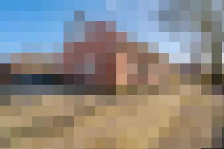 Bikkershorn 10 Westerlee thumbnail 43