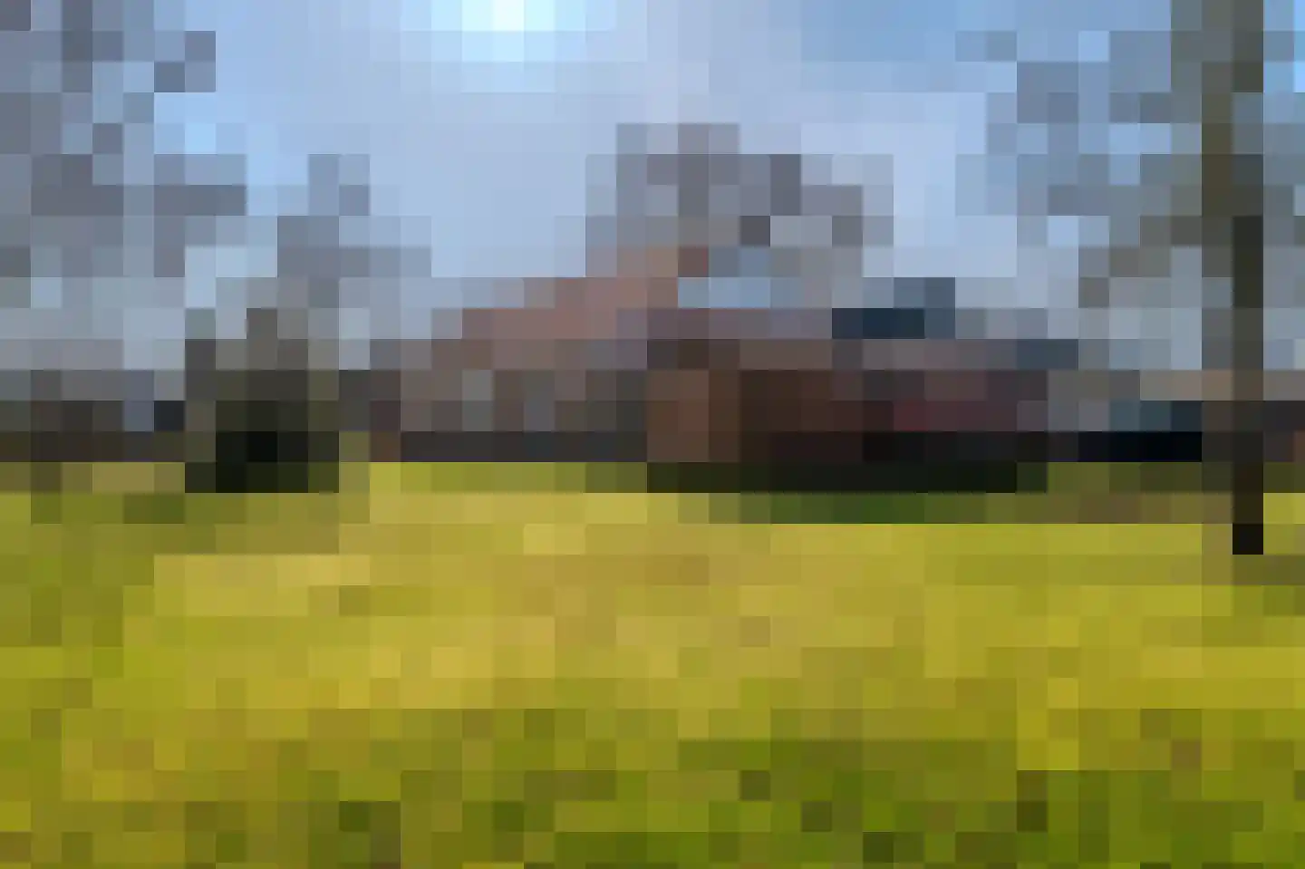 Bikkershorn 10 Westerlee thumbnail 46