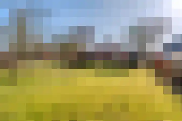 Bikkershorn 10 Westerlee thumbnail 48