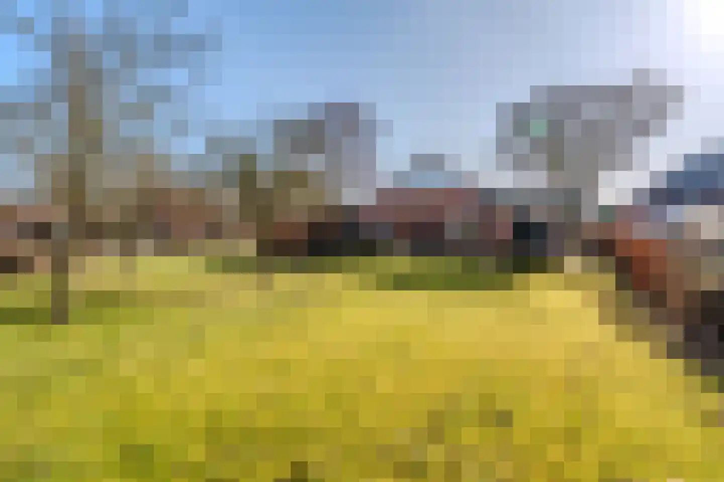 Bikkershorn 10 Westerlee thumbnail 48