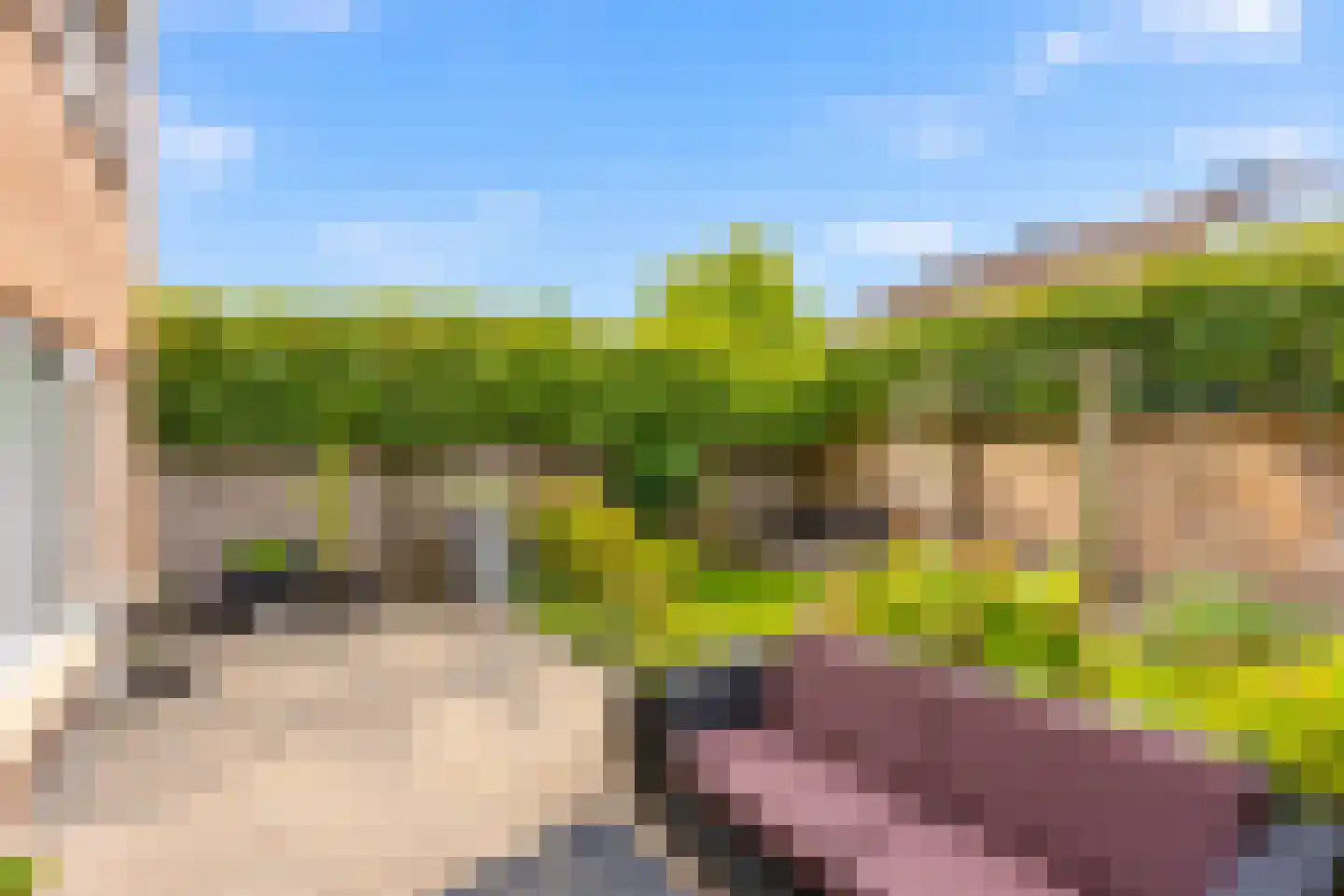 Bikkerspolder 2 De Meern thumbnail 30