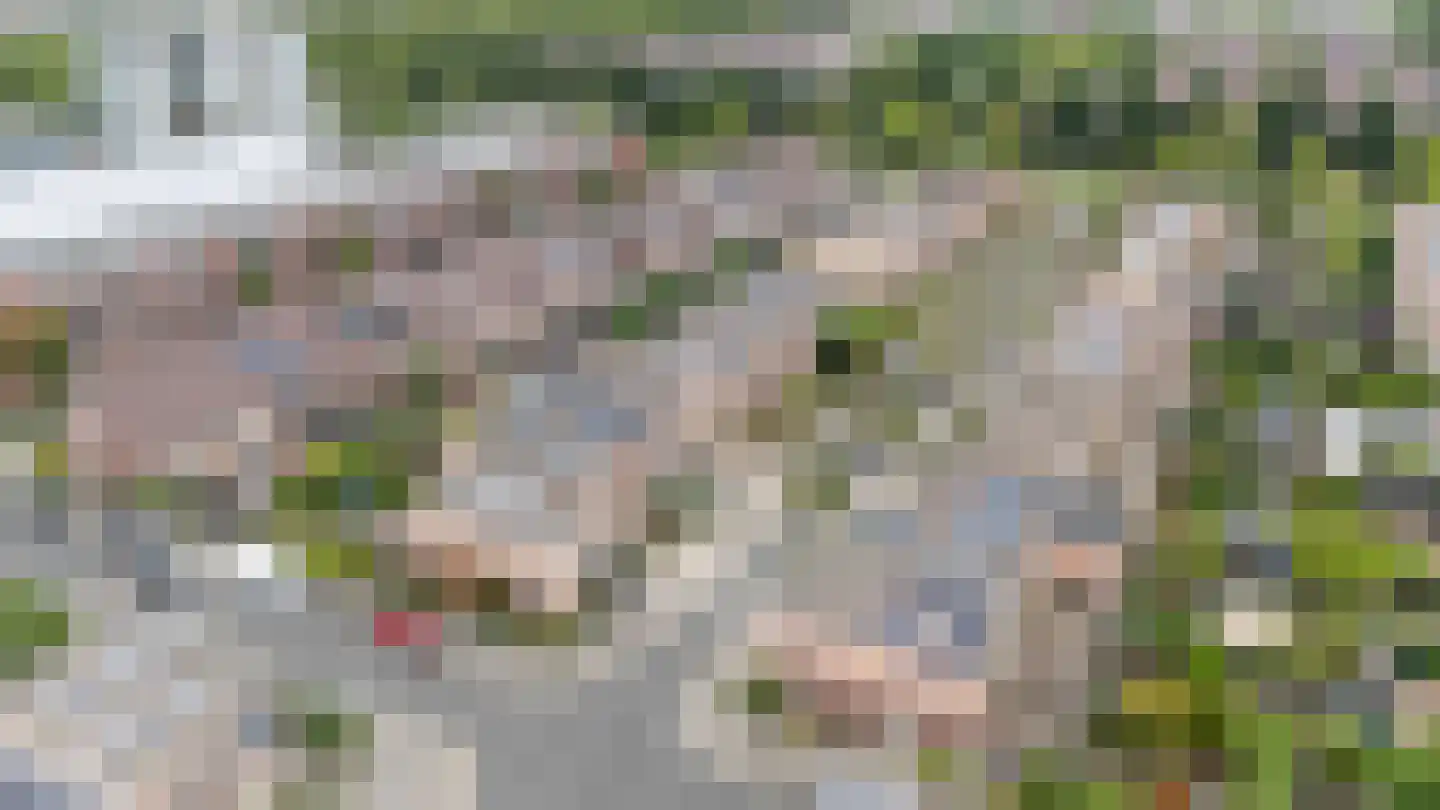 Bikkerspolder 2 De Meern thumbnail 34