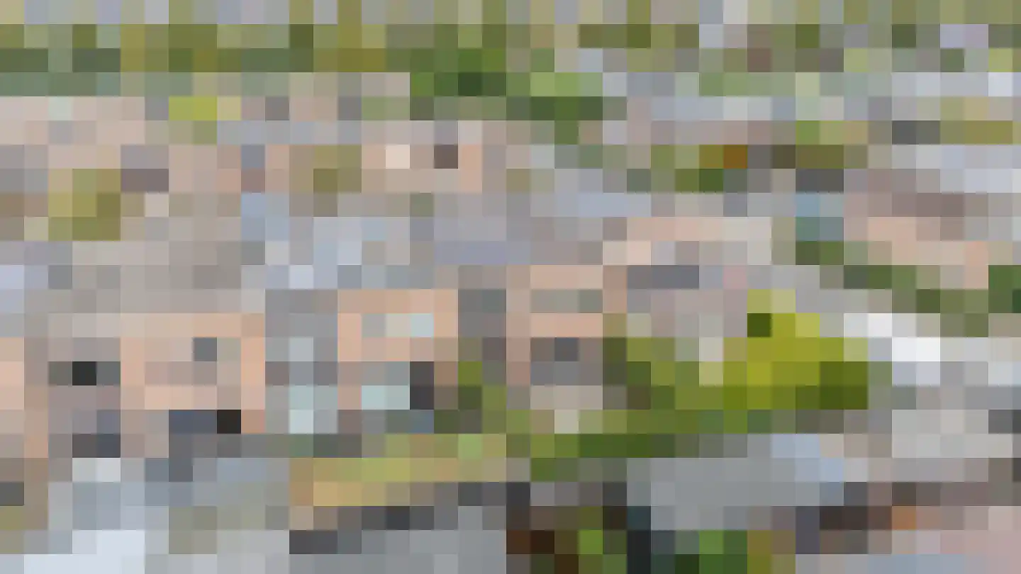 Bikkerspolder 2 De Meern thumbnail 35