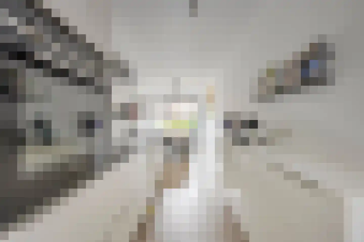 Bikkerspolder 2 De Meern thumbnail 4