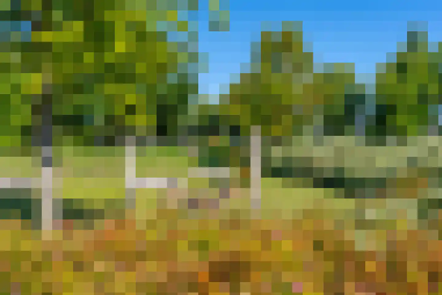 Bikkerspolder 3 De Meern thumbnail 42