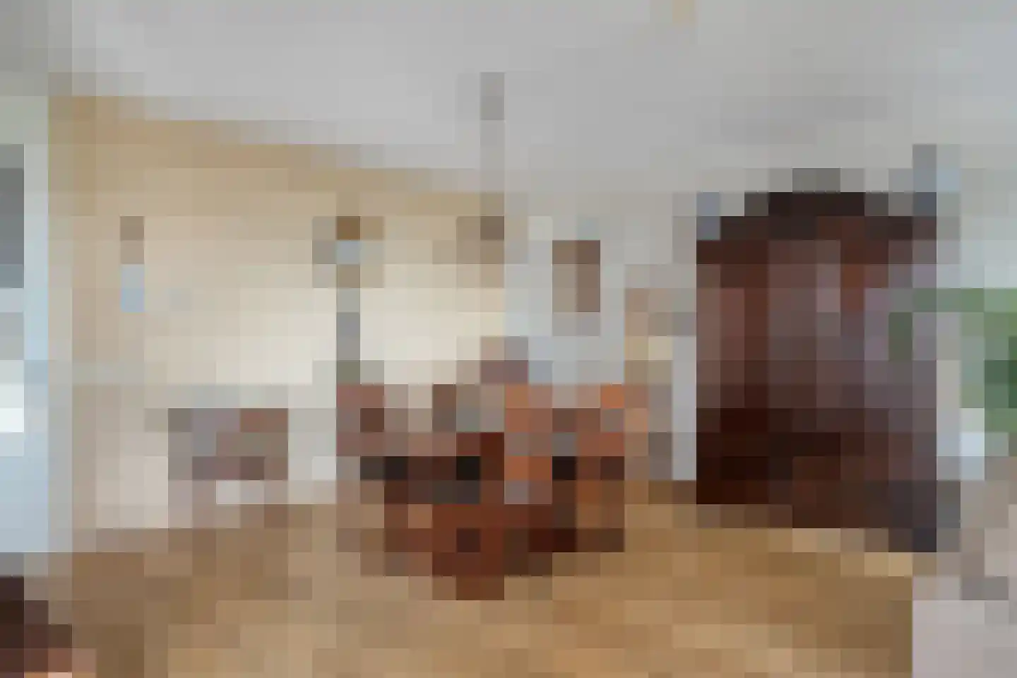Bikkersweg 52 Bunschoten-Spakenburg thumbnail 13