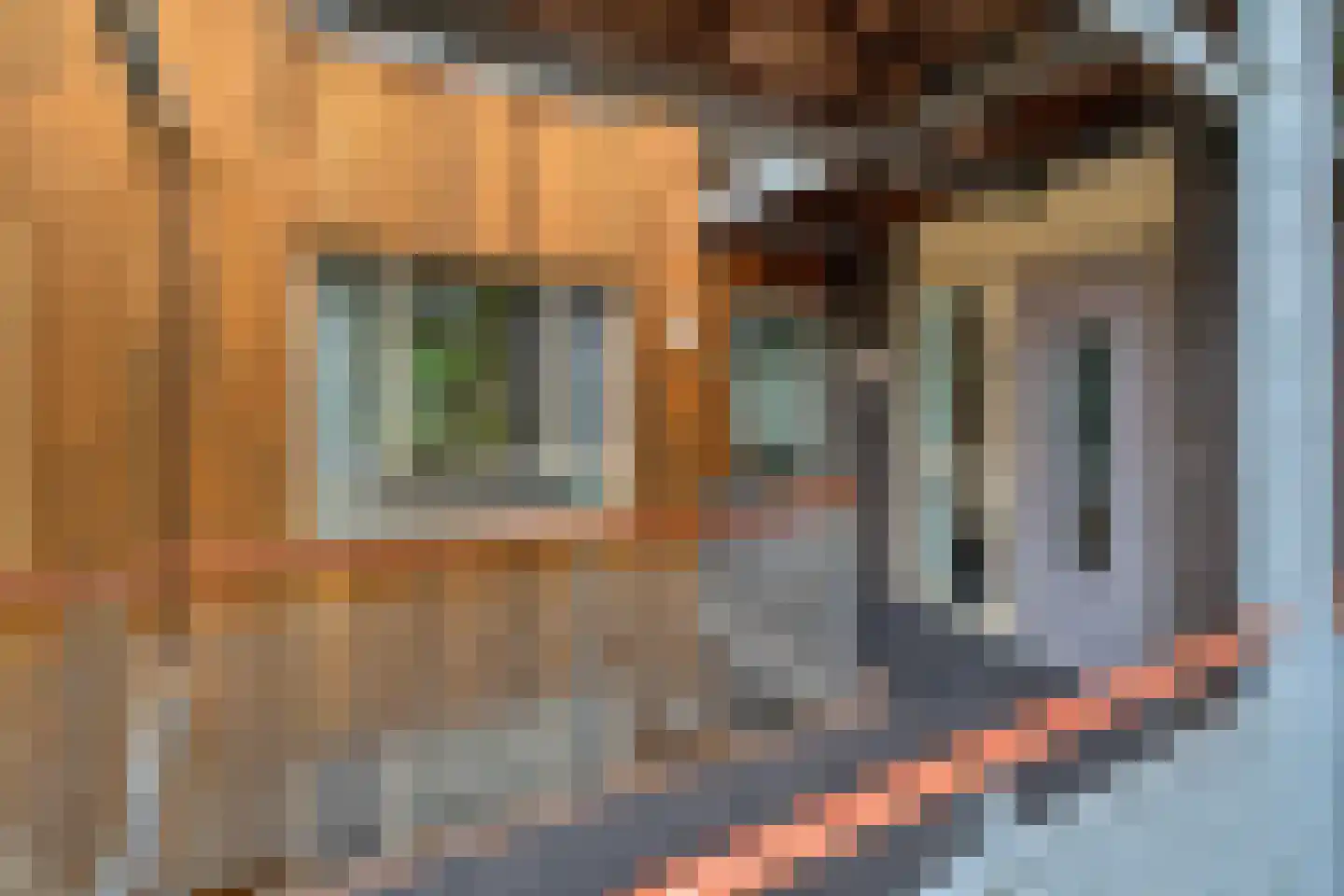Bikkersweg 54 Bunschoten-Spakenburg thumbnail 8