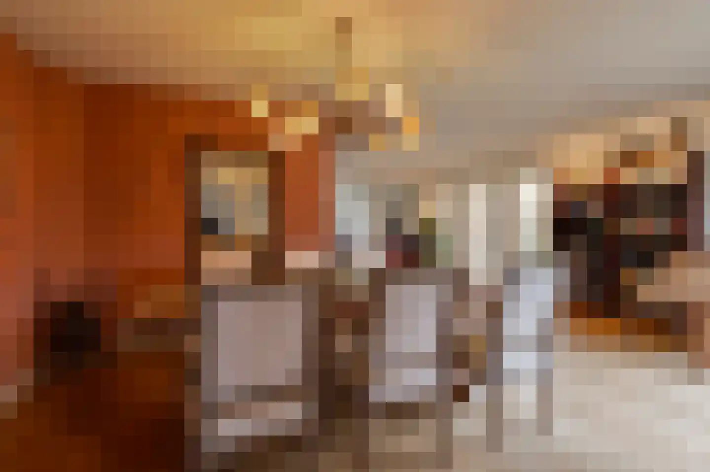 Bikolaan 53 Culemborg thumbnail 17