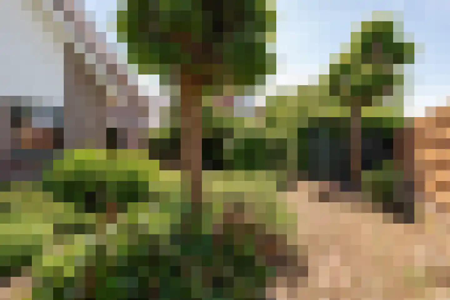 Bikolaan 53 Culemborg thumbnail 23