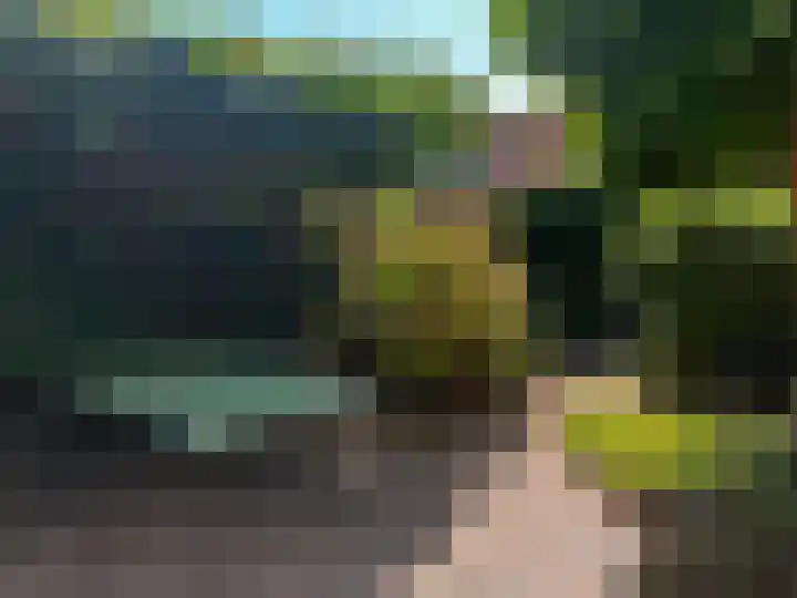 Bikolaan 53 Culemborg thumbnail 23