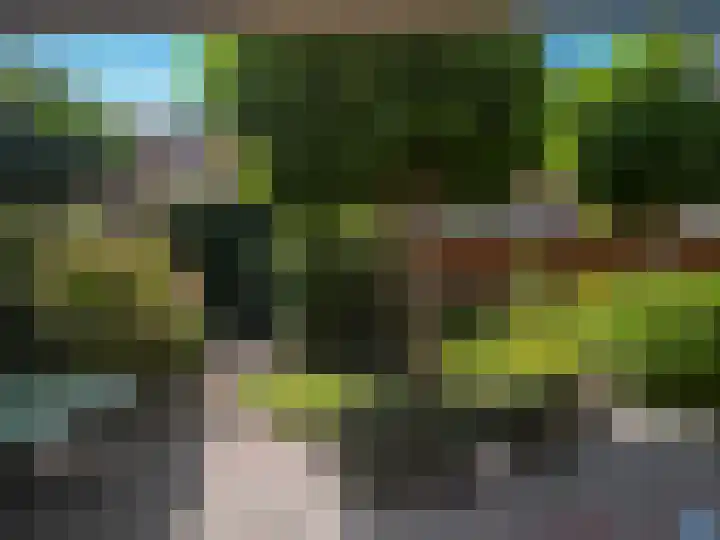 Bikolaan 53 Culemborg thumbnail 24