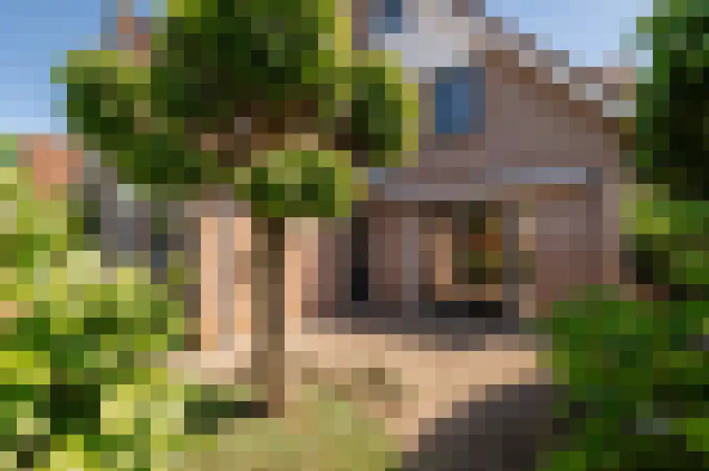 Bikolaan 53 Culemborg thumbnail 26