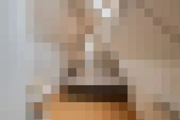 Bikolaan 53 Culemborg thumbnail 31