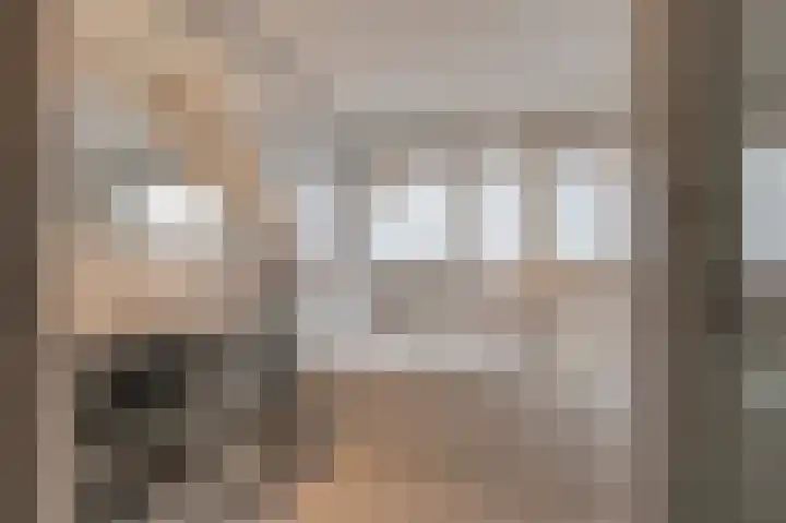 Bikolaan 53 Culemborg thumbnail 32