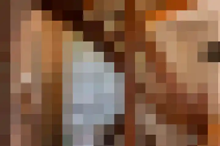 Bikolaan 53 Culemborg thumbnail 33