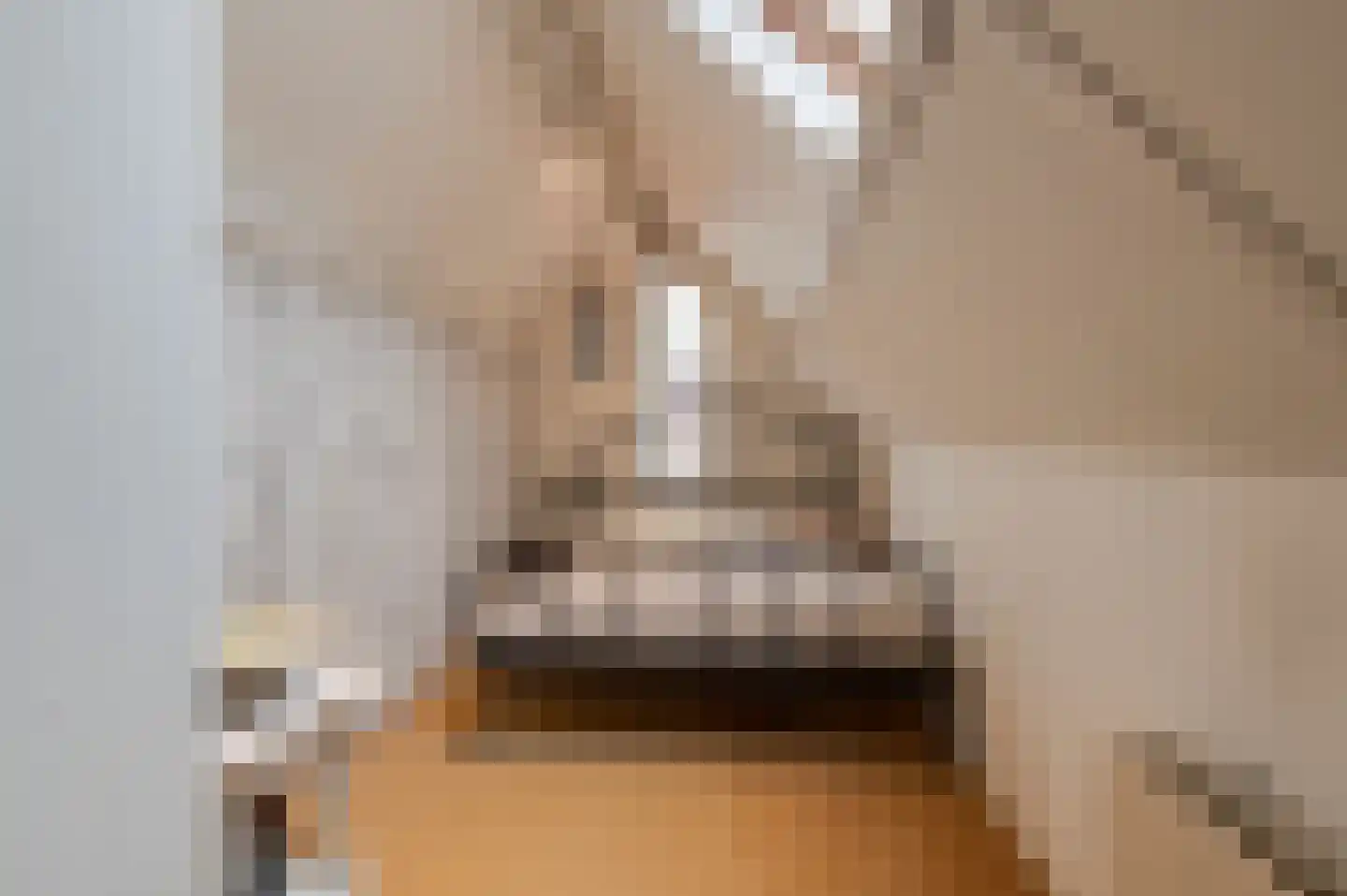 Bikolaan 53 Culemborg thumbnail 35